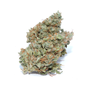 Dark Chocolate Bud