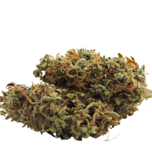 Fruity Power Bud